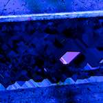 image: Image from the photoset &lsquo;damage (ccliv)&rsquo;.