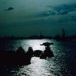 image: Image from the photoset &lsquo;damage (cclv)&rsquo;.