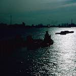 image: Image from the photoset &lsquo;damage (cclv)&rsquo;.