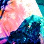 image: Image from the photoset &lsquo;damage (ccxxvii)&rsquo;.