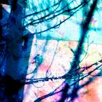 image: Image from the photoset &lsquo;damage (ccxxvii)&rsquo;.