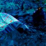 image: Image from the photoset &lsquo;damage (ccxxx)&rsquo;.