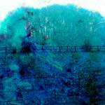 image: Image from the photoset &lsquo;damage (ccxxx)&rsquo;.