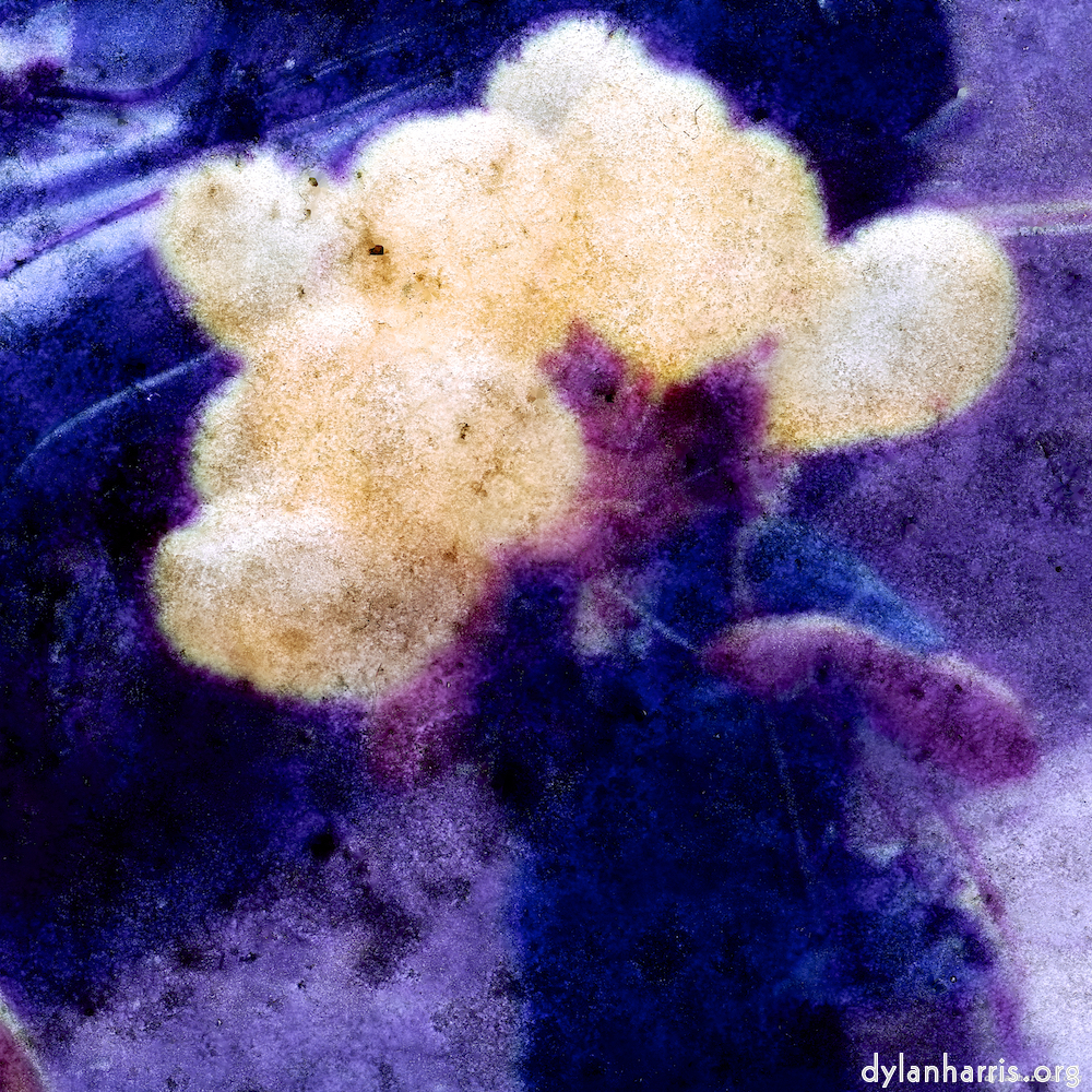 image: This is &lsquo;damage (ccxxxi) 6&rsquo;.