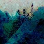 image: Image from the photoset &lsquo;damage (ccxxxi)&rsquo;.