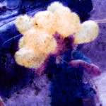 image: Image from the photoset &lsquo;damage (ccxxxi)&rsquo;.