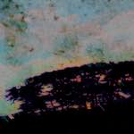 image: Image from the photoset &lsquo;damage (ccxxxii)&rsquo;.