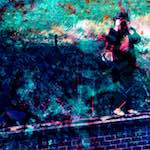 image: Image from the photoset &lsquo;damage (ccxxxii)&rsquo;.