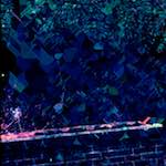 image: Image from the photoset &lsquo;damage (ccxxxii)&rsquo;.