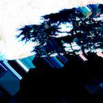 image: Image from the photoset &lsquo;damage (ccxxxiii)&rsquo;.