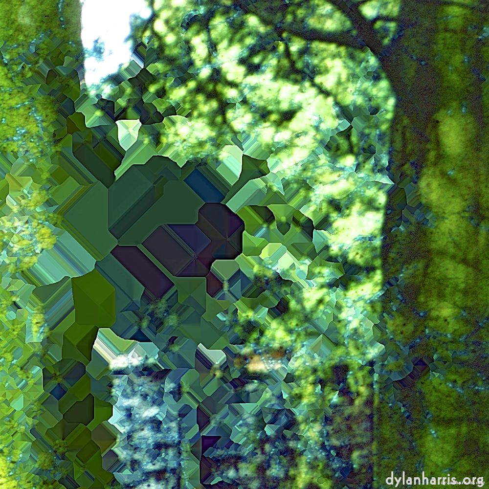 image: This is &lsquo;damage (ccxxxiv) 6&rsquo;.