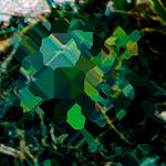 image: Image from the photoset &lsquo;damage (ccxxxiv)&rsquo;.