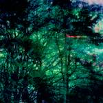 image: Image from the photoset &lsquo;damage (ccxxxiv)&rsquo;.