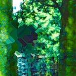 image: Image from the photoset &lsquo;damage (ccxxxiv)&rsquo;.