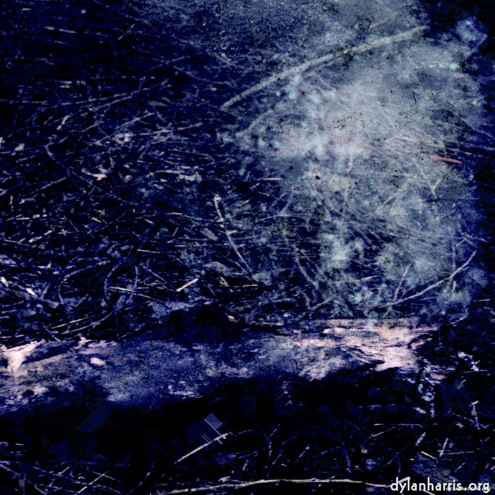 image: This is &lsquo;damage (xix) 5&rsquo;.