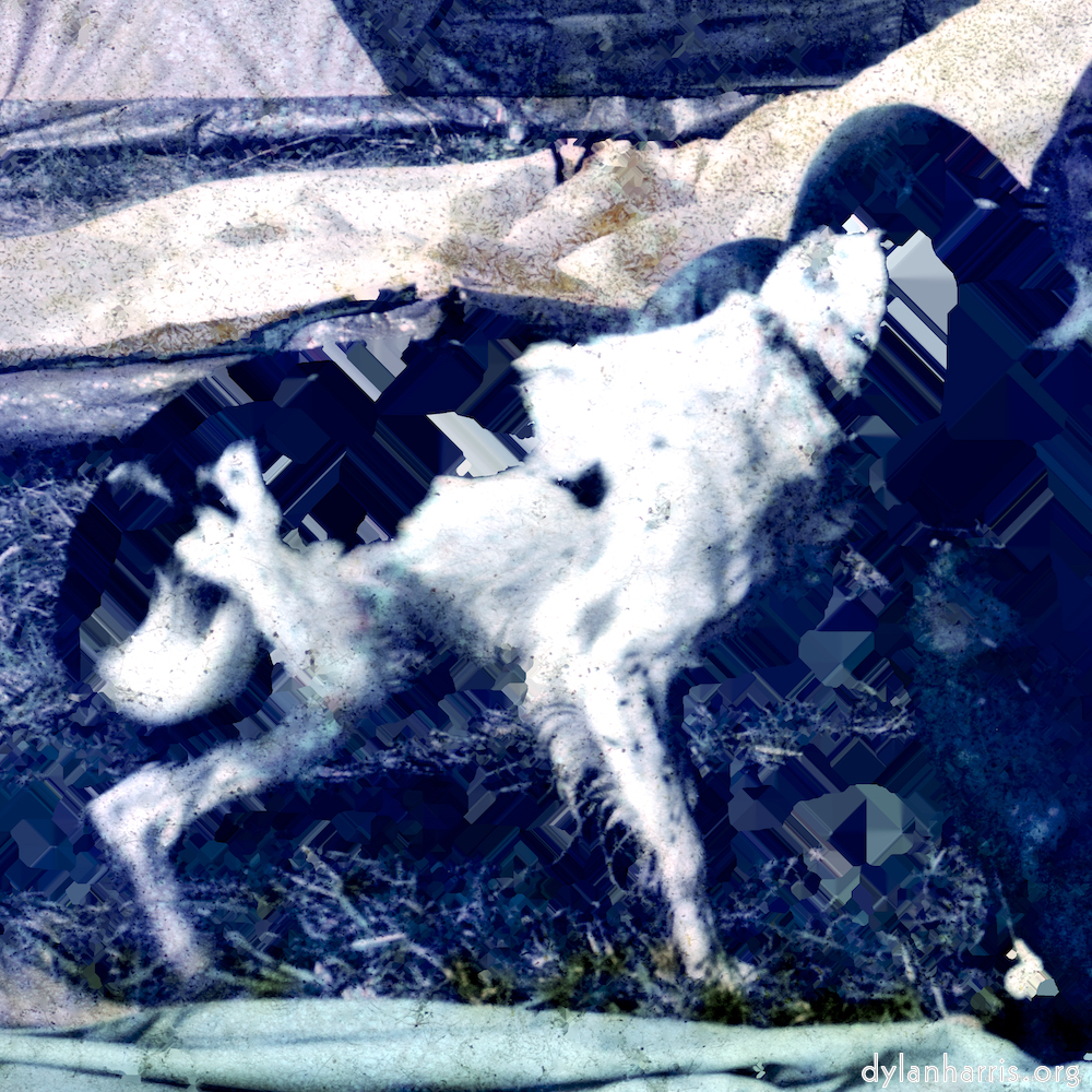 image: This is &lsquo;damage (xx) 2&rsquo;.