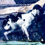 image: Image from the photoset &lsquo;damage (xx)&rsquo;.