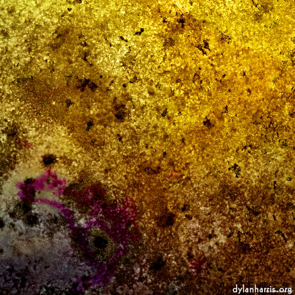 image: This is &lsquo;damage (xxi) 5&rsquo;.