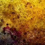 image: Image from the photoset &lsquo;damage (xxi)&rsquo;.