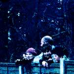 image: Image from the photoset &lsquo;damage (xxii)&rsquo;.