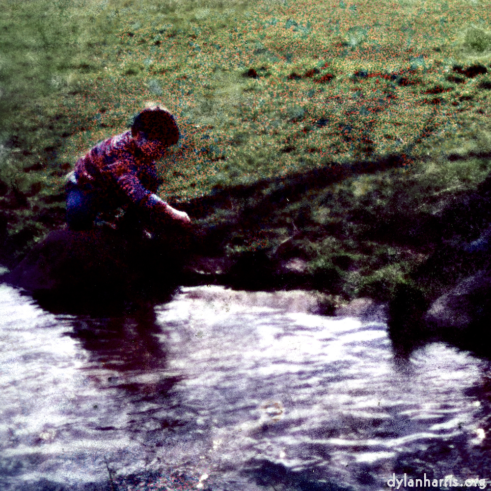 image: This is &lsquo;damage (xxiii) 3&rsquo;.