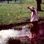 image: Image from the photoset &lsquo;damage (xxiii)&rsquo;.