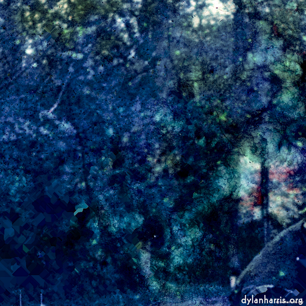 image: This is &lsquo;damage (xxiv) 5&rsquo;.