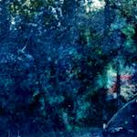 image: Image from the photoset &lsquo;damage (xxiv)&rsquo;.