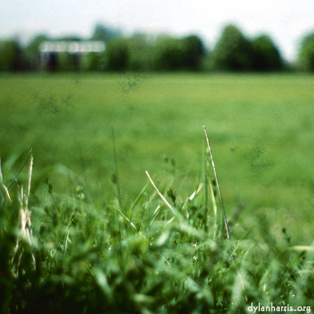 image: This is &lsquo;damage (clxxxi) 5&rsquo;.