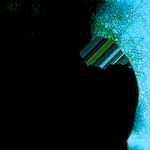 image: Image from the photoset &lsquo;damage (clxxxii)&rsquo;.