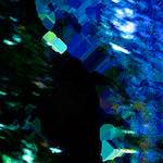 image: Image from the photoset &lsquo;damage (clxxxiv)&rsquo;.