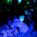 image: Image from the photoset &lsquo;damage (clxxxiv)&rsquo;.