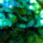 image: Image from the photoset &lsquo;damage (clxxxv)&rsquo;.