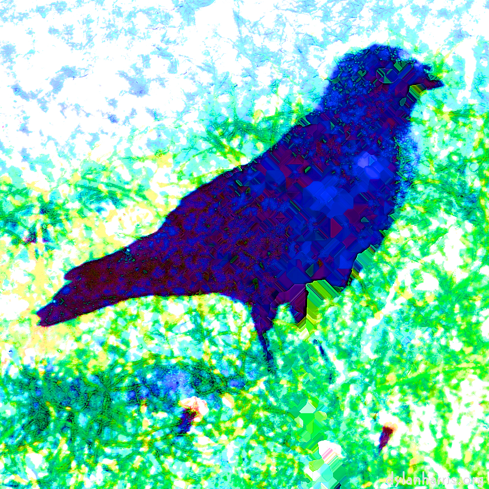 image: This is &lsquo;damage (ccxcii) 2&rsquo;.