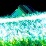 image: Image from the photoset &lsquo;damage (ccxcii)&rsquo;.