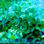 image: Image from the photoset &lsquo;damage (ccxciv)&rsquo;.