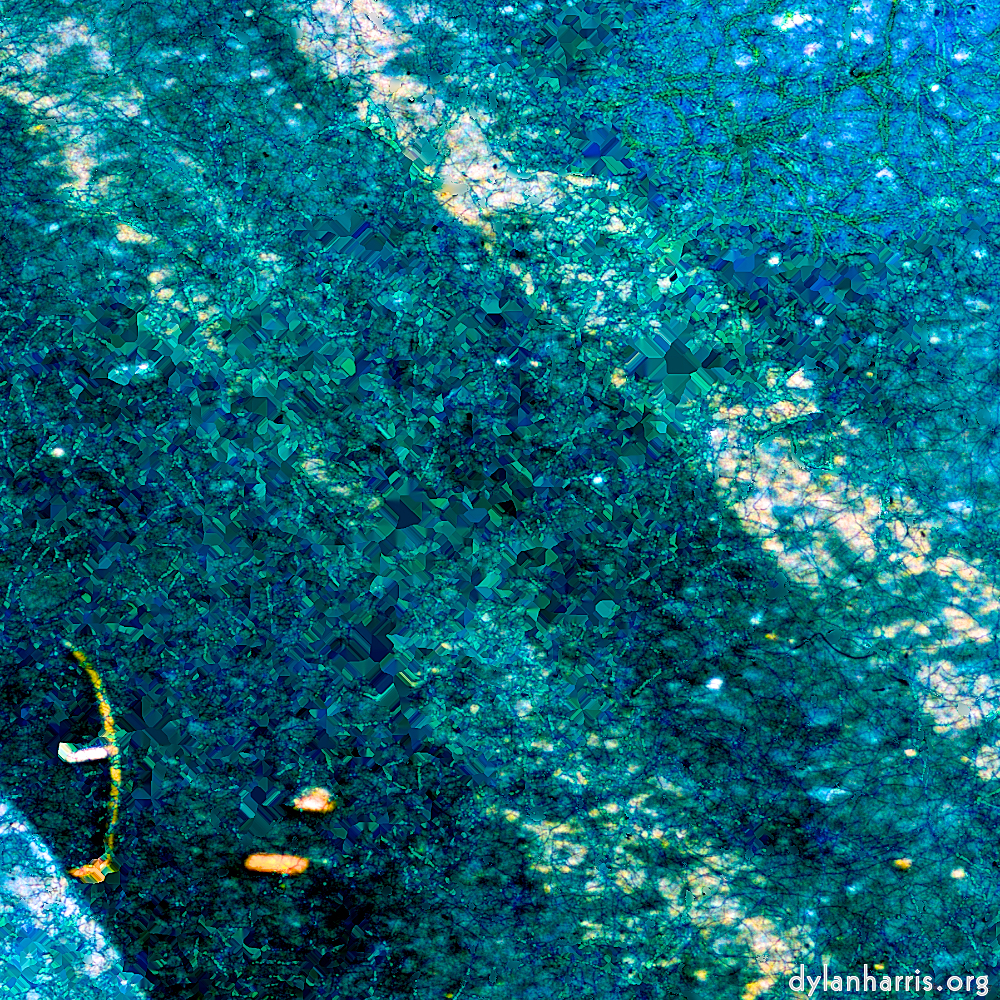 image: This is &lsquo;damage (ccxcv) 6&rsquo;.