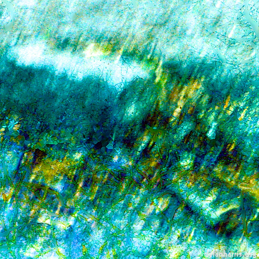 image: This is &lsquo;damage (ccxcv) 9&rsquo;.