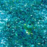 image: Image from the photoset &lsquo;damage (ccxcv)&rsquo;.