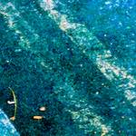 image: Image from the photoset &lsquo;damage (ccxcv)&rsquo;.