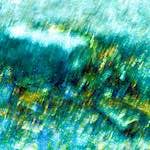 image: Image from the photoset &lsquo;damage (ccxcv)&rsquo;.