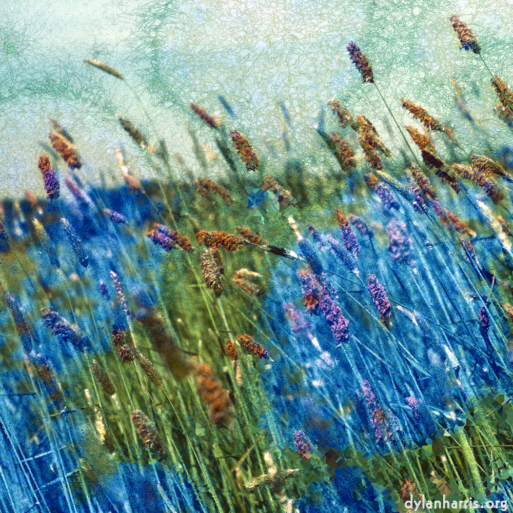 image: This is &lsquo;damage (ccxcvi) 1&rsquo;.