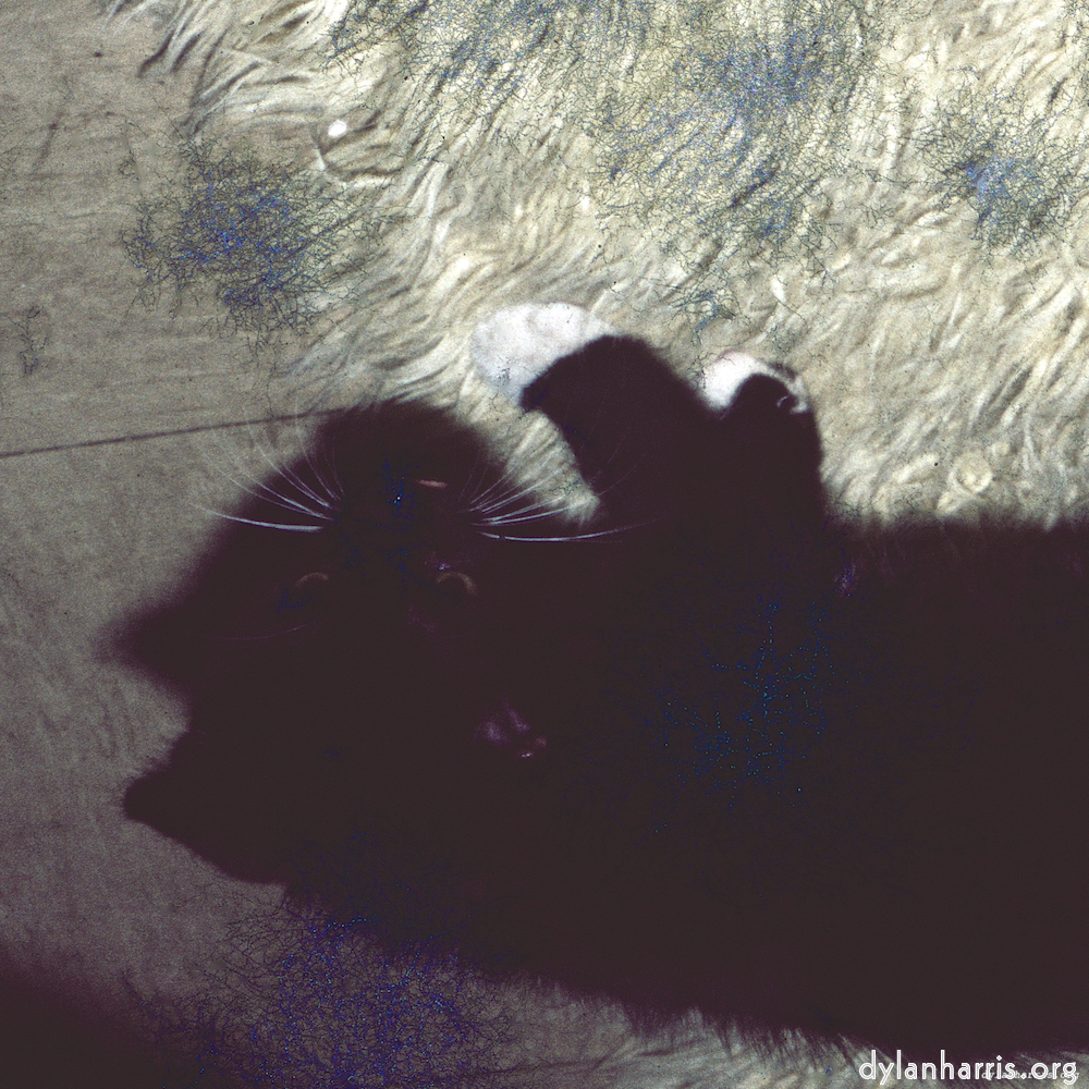 image: This is &lsquo;damage (ccxcvi) 2&rsquo;.