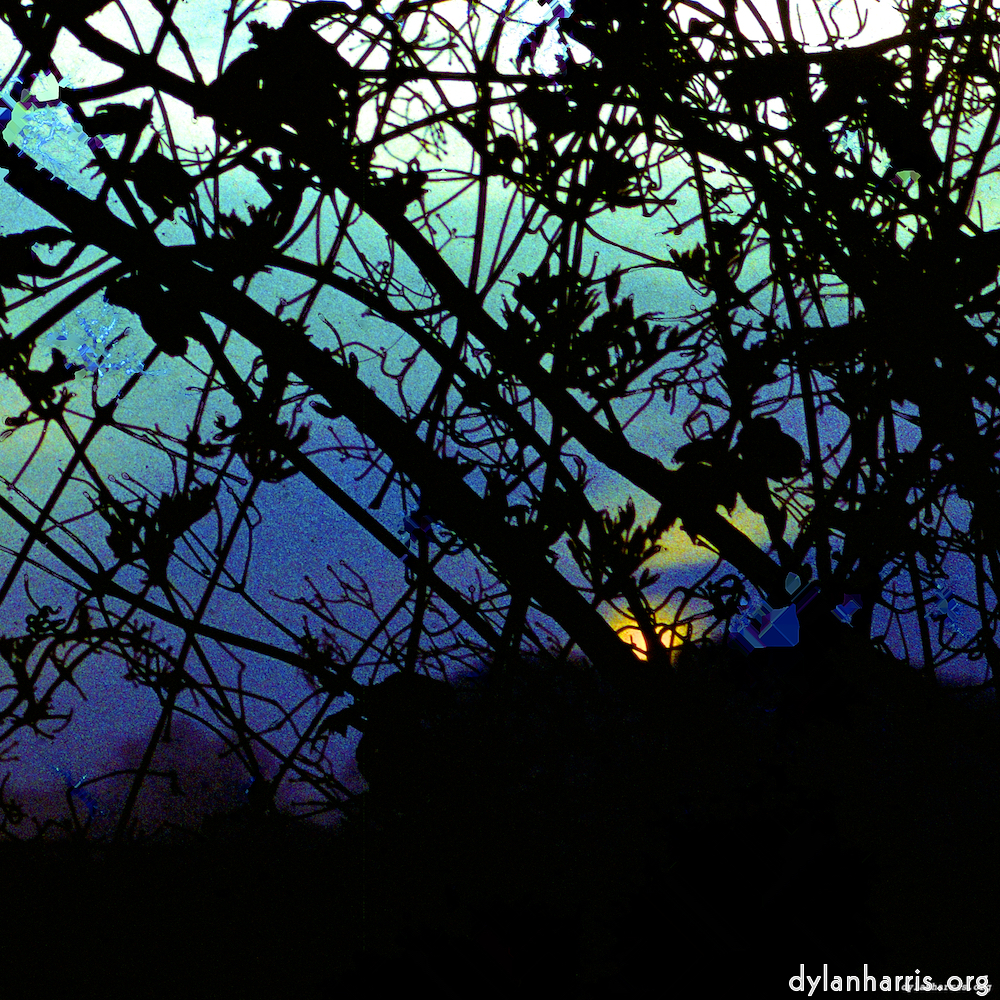 image: This is &lsquo;damage (ccxcvi) 4&rsquo;.