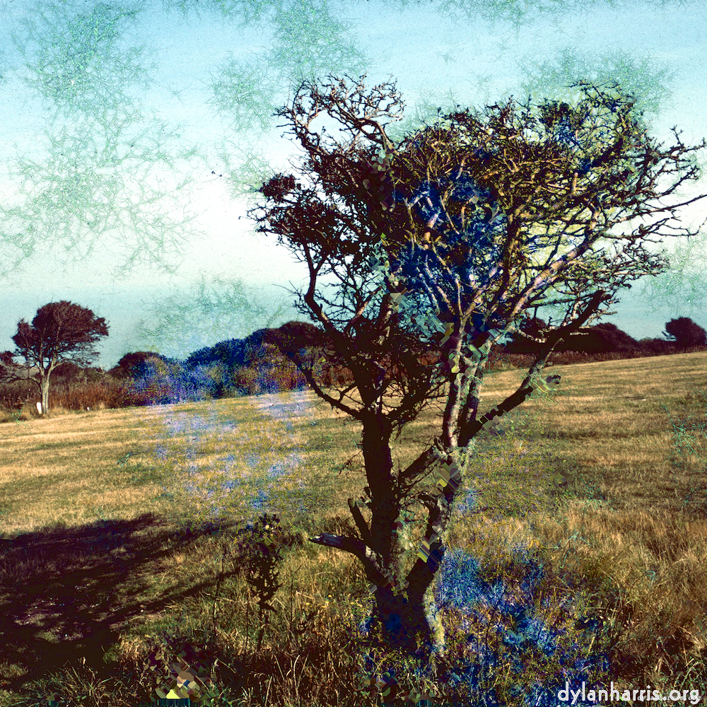 Image: Image 'damage (ccxcvi) 6'.