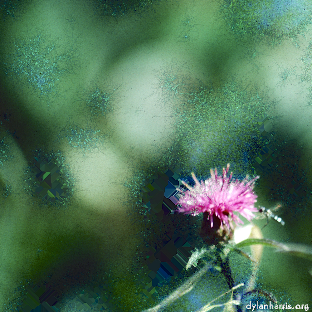 image: This is &lsquo;damage (ccxcvi) 7&rsquo;.