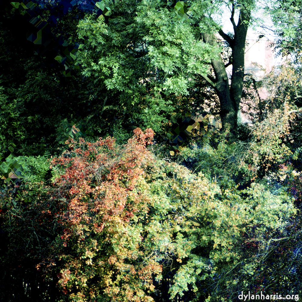 image: This is &lsquo;damage (ccxcvi) 8&rsquo;.