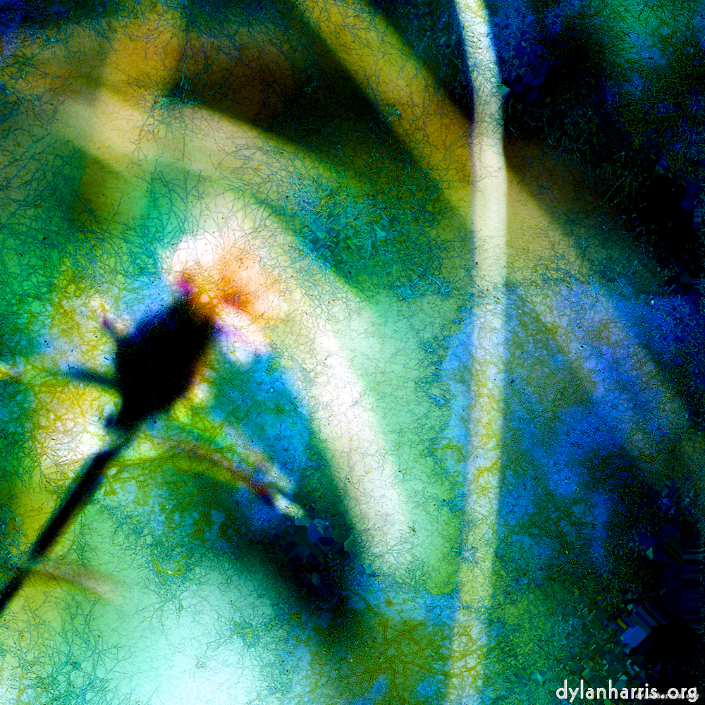 image: This is &lsquo;damage (ccxcvi) 9&rsquo;.