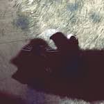 image: Image from the photoset &lsquo;damage (ccxcvi)&rsquo;.