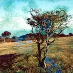 image: Image from the photoset &lsquo;damage (ccxcvi)&rsquo;.